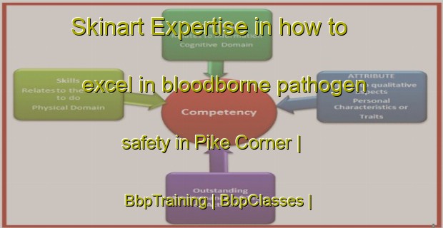 Skinart Expertise in how to excel in bloodborne pathogen safety in Pike Corner | BbpTraining | BbpClasses | SkinartTraining-United States